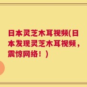 日本灵芝木耳视频(日本发现灵芝木耳视频，震惊网络！)
