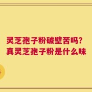 灵芝孢子粉破壁苦吗？真灵芝孢子粉是什么味