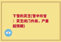 下雪的灵芝(雪中珍宝：灵芝闭门升级，产量超预期)