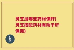 灵芝加哪些药材保肝(灵芝搭配药材有助于肝保健)