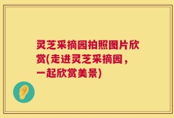 灵芝采摘园拍照图片欣赏(走进灵芝采摘园，一起欣赏美景)