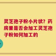 灵芝孢子粉小片状？药房里是否会加工灵芝孢子粉如何加工的
