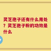 灵芝孢子还有什么用处？灵芝孢子粉的功效是什么