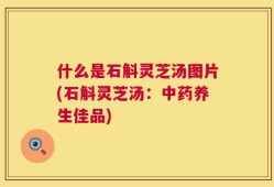 什么是石斛灵芝汤图片(石斛灵芝汤：中药养生佳品)
