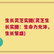 生长灵芝实图(灵芝生长实图：生命力充沛，生长繁盛)