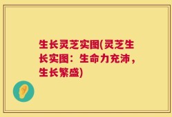 生长灵芝实图(灵芝生长实图：生命力充沛，生长繁盛)