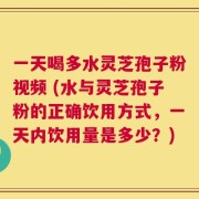 一天喝多水灵芝孢子粉视频 (水与灵芝孢子粉的正确饮用方式，一天内饮用量是多少？)