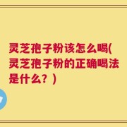 灵芝孢子粉该怎么喝(灵芝孢子粉的正确喝法是什么？)