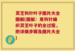 灵芝钩针叶子图片大全图解(图解：用钩针编织灵芝叶子的全过程，附详细步骤及图片大全)