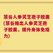 慧谷人参灵芝孢子胶囊(慧谷推出人参灵芝孢子胶囊，提升身体免疫力)