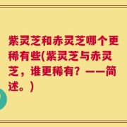 紫灵芝和赤灵芝哪个更稀有些(紫灵芝与赤灵芝，谁更稀有？——简述。)