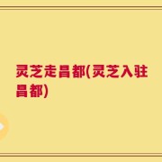 灵芝走昌都(灵芝入驻昌都)