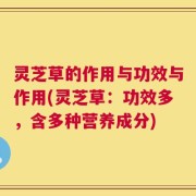 灵芝草的作用与功效与作用(灵芝草：功效多，含多种营养成分)