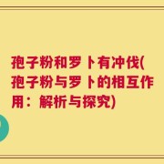 孢子粉和罗卜有冲伐(孢子粉与罗卜的相互作用：解析与探究)