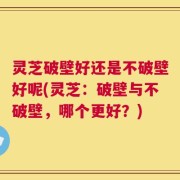 灵芝破壁好还是不破壁好呢(灵芝：破壁与不破壁，哪个更好？)