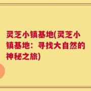 灵芝小镇基地(灵芝小镇基地：寻找大自然的神秘之旅)