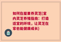 如何在屋里养灵芝(室内灵芝养殖指南：打造适宜的环境，让灵芝在家也能健康成长)