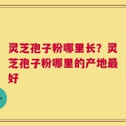 灵芝孢子粉哪里长？灵芝孢子粉哪里的产地最好