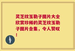 灵芝纹玉勒子图片大全欣赏珍稀的灵芝纹玉勒子图片合集，令人赞叹！
