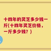 十四年的灵芝多少钱一斤(十四年灵芝价格，一斤多少钱？)