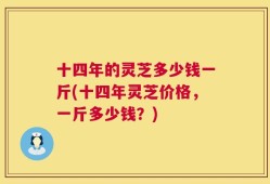 十四年的灵芝多少钱一斤(十四年灵芝价格，一斤多少钱？)