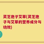 灵芝孢子艾草(灵芝孢子与艾草的营养成分与功效)