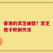 香港的灵芝破壁？灵芝孢子粉制作法