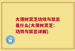 大薄树灵芝功效与禁忌是什么(大薄树灵芝：功效与禁忌详解)