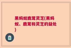 黑蚂蚁鹿茸灵芝(黑蚂蚁、鹿茸和灵芝的益处)