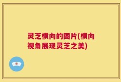 灵芝横向的图片(横向视角展现灵芝之美)