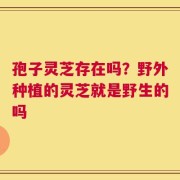 孢子灵芝存在吗？野外种植的灵芝就是野生的吗