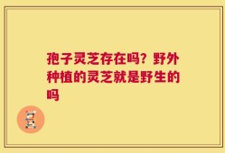 孢子灵芝存在吗？野外种植的灵芝就是野生的吗