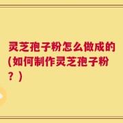 灵芝孢子粉怎么做成的(如何制作灵芝孢子粉？)
