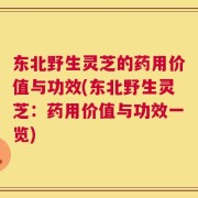 东北野生灵芝的药用价值与功效(东北野生灵芝：药用价值与功效一览)