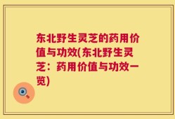 东北野生灵芝的药用价值与功效(东北野生灵芝：药用价值与功效一览)