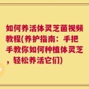 如何养活体灵芝菌视频教程(养护指南：手把手教你如何种植体灵芝，轻松养活它们)
