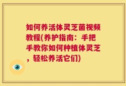 如何养活体灵芝菌视频教程(养护指南：手把手教你如何种植体灵芝，轻松养活它们)