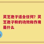 灵芝孢子适合任何？灵芝孢子粉的功效和作用是什么