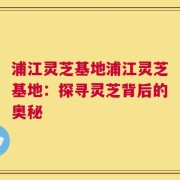 浦江灵芝基地浦江灵芝基地：探寻灵芝背后的奥秘