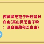 西藏灵芝孢子粉还是长白山(高山灵芝孢子粉：源自西藏和长白山)