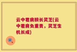 云中君肩膀长灵芝(云中君肩负重责，灵芝生机长成)