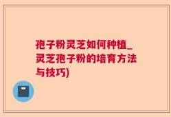 孢子粉灵芝如何种植_灵芝孢子粉的培育方法与技巧)