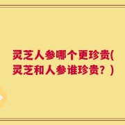 灵芝人参哪个更珍贵(灵芝和人参谁珍贵？)