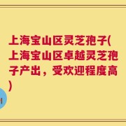 上海宝山区灵芝孢子(上海宝山区卓越灵芝孢子产出，受欢迎程度高)
