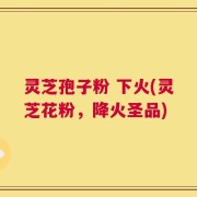 灵芝孢子粉 下火(灵芝花粉，降火圣品)