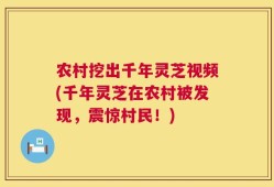农村挖出千年灵芝视频(千年灵芝在农村被发现，震惊村民！)