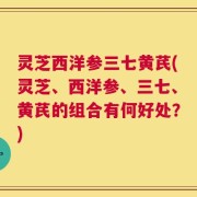 灵芝西洋参三七黄芪(灵芝、西洋参、三七、黄芪的组合有何好处？)