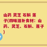 山药 灵芝 石斛 莲子(四味滋补食材：山药、灵芝、石斛、莲子)