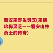 磐安采野生灵芝(采摘珍稀灵芝——磐安山林勇士的传奇)