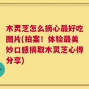 木灵芝怎么摘心最好吃图片(拍案！体验最美妙口感摘取木灵芝心得分享)